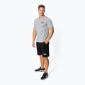 Everlast Shawnee men's t-shirt grey 807600-60 2