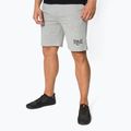 Everlast Clifton grey men's training shorts 810521-60