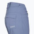Women's snowboard trousers ROXY Backyard wild wind 9
