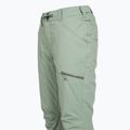 Women's snowboard trousers ROXY Nadia lily pad 8