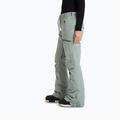 Women's snowboard trousers ROXY Nadia lily pad 4