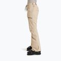 Women's snowboard trousers ROXY Nadia pebble 4