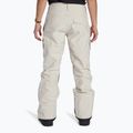 Women's snowboard trousers DC Nonchalant silver lining 3