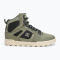 DC men's shoes Pure High Top WR green / black / white 2