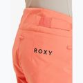 Women's snowboard trousers ROXY Alpine Ridge coral chic 6