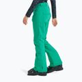 Women's snowboard trousers ROXY Backyard vivid green 5