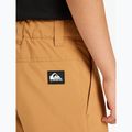 Children's snowboard trousers Quiksilver Estate almond 8