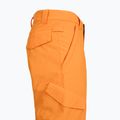 Children's snowboard trousers DC Banshee oriole 6