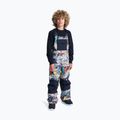 Children's snowboard trousers DC Roadblock Youth Bib outer world black