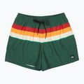 Men's swim shorts Quiksilver Everyday Printed Volley 15" forest outside stripe
