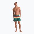 Men's swim shorts Quiksilver Everyday Printed Volley 15" forest outside stripe 4