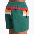 Men's swim shorts Quiksilver Everyday Printed Volley 15" forest outside stripe 8