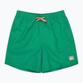 Children's swim shorts Quiksilver Everyday Volley 14" leprechaun