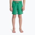 Children's swim shorts Quiksilver Everyday Volley 14" leprechaun 3