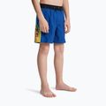 Children's swim shorts Quiksilver Everyday Holmes Volley 16" monaco blue holmes 5