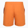 Men's swim shorts Billabong All Day Layback clay orange 2