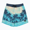 Children's swim shorts Quiksilver Everyday Printed Volley 14" aqua thermotropics