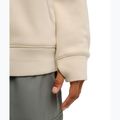 Men's sweatshirt DC Snowstar oatmeal 5