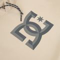 Men's sweatshirt DC Snowstar oatmeal 10