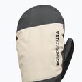 Men's snowboard gloves DC Franchise Mitt 10K oatmeal 3