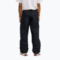 Men's snowboard trousers DC Banshee black 3