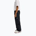 Men's snowboard trousers DC Banshee black 5