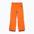 Children's snowboard trousers Quiksilver Estate vermillon 7