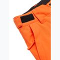 Children's snowboard trousers Quiksilver Estate vermillon 9