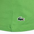 Lacoste men's t-shirt TH9068 sorrel 5