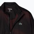 Lacoste men's tracksuit WH2609 black / expresso 9