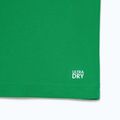 Lacoste Tennis Polo Shirt DH2568 fluorine green/sinople 9