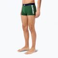 Men's boxer briefs Lacoste 5H1291 3-pack thyme/navy blue/white 3