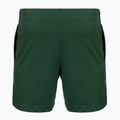 Men's tennis shorts Lacoste GH0138 green 2