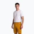 Men's trekking shorts Aulp Banco kombucha