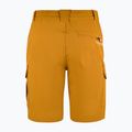 Men's trekking shorts Aulp Banco kombucha 4