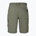 Men's trekking shorts Aulp Banco lichen 4