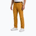 Men's trekking trousers Aulp Brady kombucha