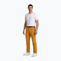 Men's trekking trousers Aulp Brady kombucha 2