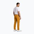 Men's trekking trousers Aulp Brady kombucha 3