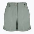 Women's trekkingshorts Aulp Derby lichen 3