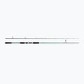 Abu Garcia Beast X Pike 842 H rod