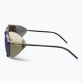 Sunglasses Julbo Legacy Ractiv 2-4 Beige/Black 6