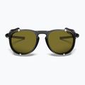 Julbo Millenium Reactiv Polarized shiny translucent black/black/white sunglasses 4