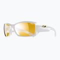 Sunglasses Julbo Reactive Performance 2-4 zebra/blanc brilliant