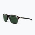 Sunglasses Julbo Crossline Polarized 3 brown/green