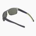 Sunglasses Julbo Renegade Ractiv 2-3 tranlucide brilliant 2
