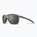 Sunglasses Julbo Compass Polarized brown translu brillant/army dark
