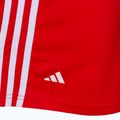 adidas Boxing Shorts red ADIBTS02 3
