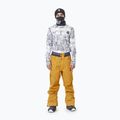 Picture Picture Object 20/20 Camel men's ski trousers MPT114