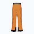 Picture Picture Object 20/20 Camel men's ski trousers MPT114 9